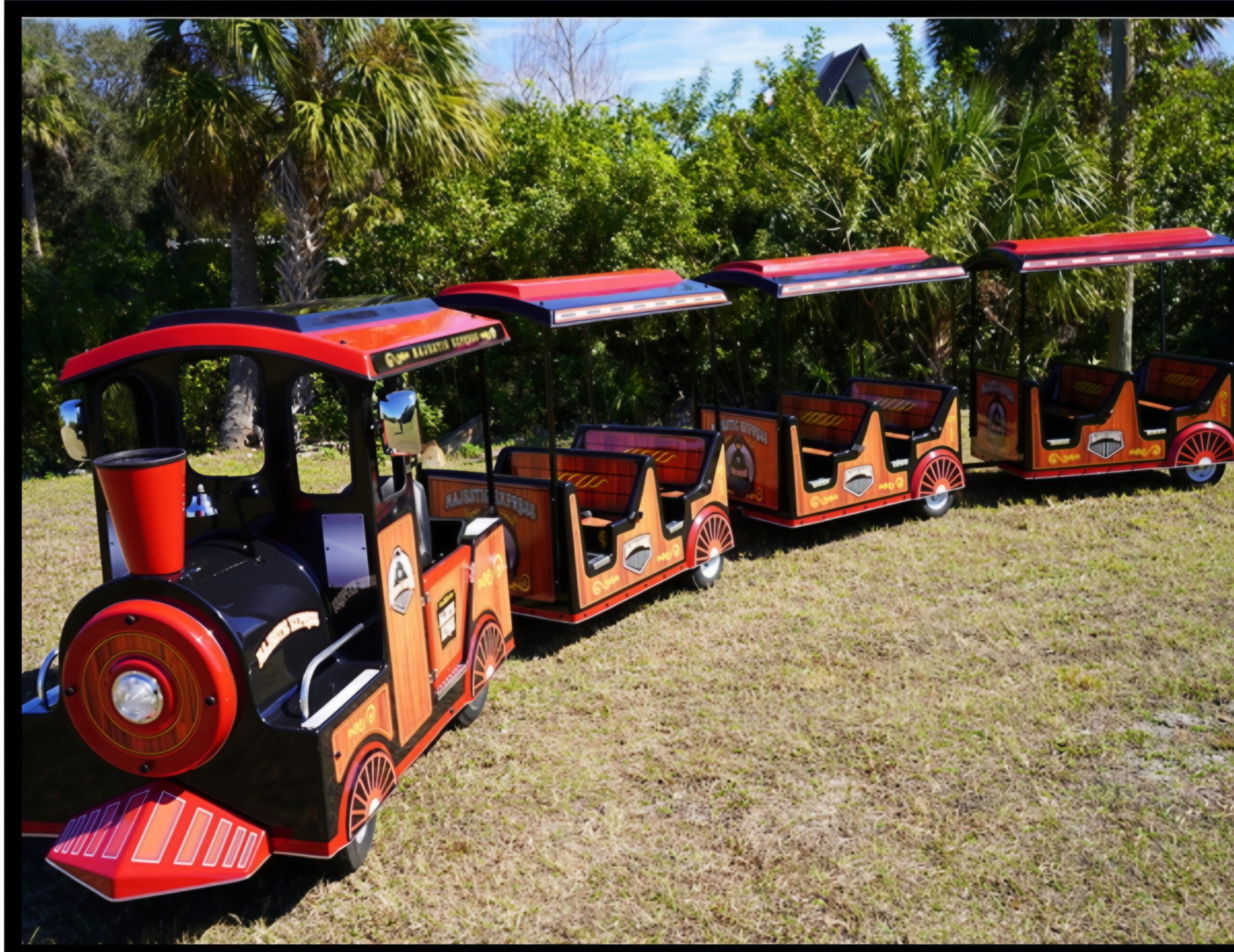 Majestic Express Indoor/ Outdoor Train